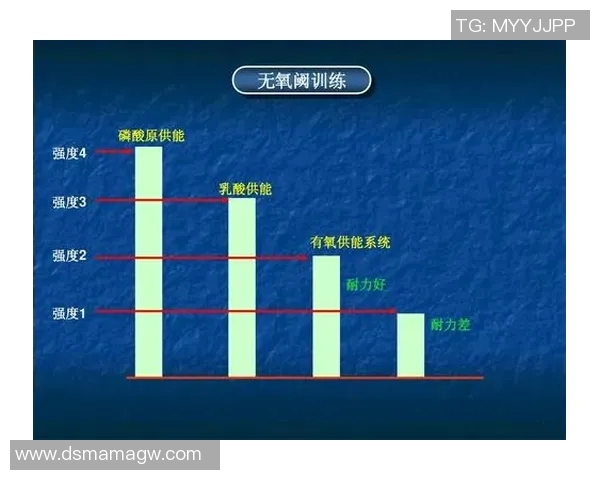 广州羽毛球队战术表现深度数据分析与策略优化研究 广州羽毛球队战术表现深度数据分析与策略优化研究