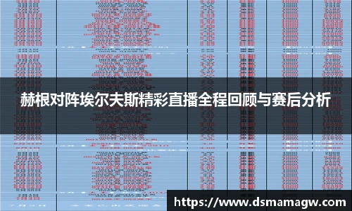 赫根对阵埃尔夫斯精彩直播全程回顾与赛后分析